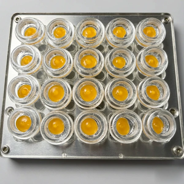 Tray of glass concentrate jars filled with amber wax on a dab and wax filling line