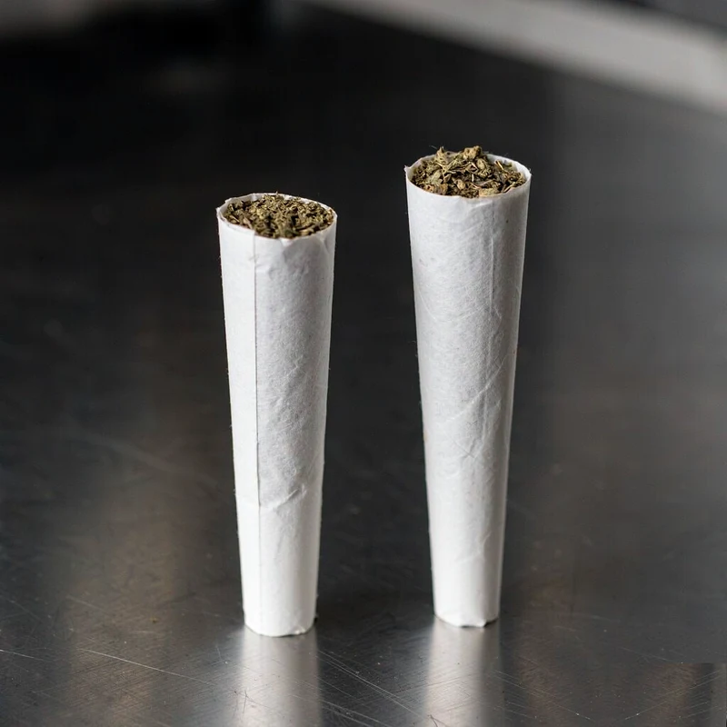 Two pre-roll cones with the same flower weight but different fill heights showing packing density difference